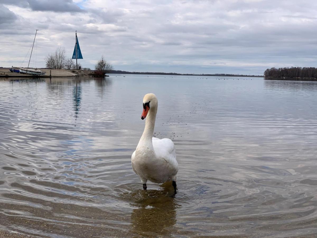 Badhoophuizen 6-Per Bungalow Veluwemeer Trampoline Hulshorst Zewnętrze zdjęcie
